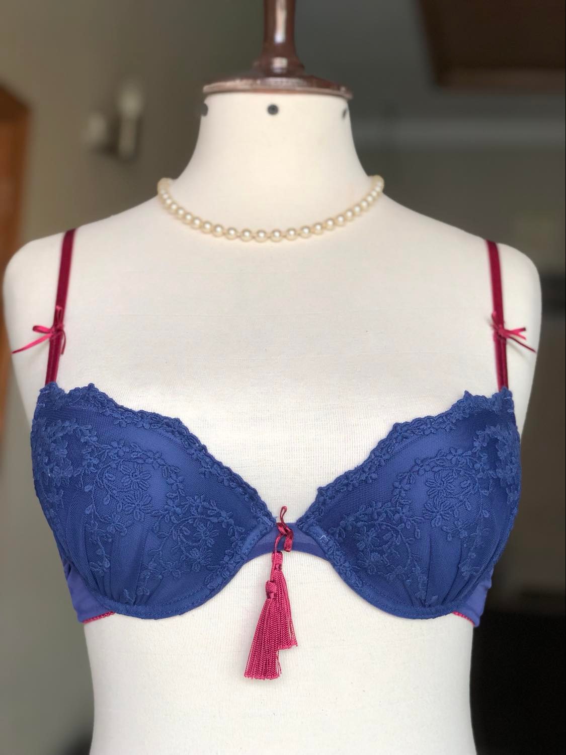 Embroidered & Lacy Bra Set