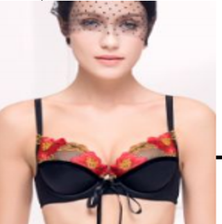 Silk and Embroidered Non Padded Bra